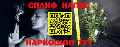 ешки Ставрополь