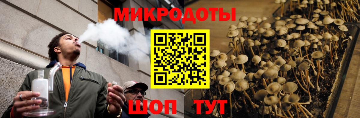 Псилоцибиновые грибы Cubensis Владивосток