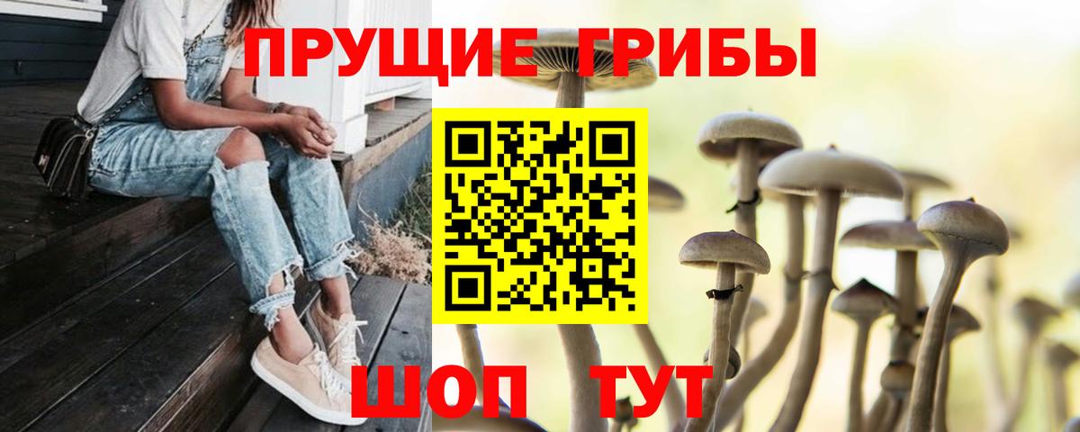 Владивосток  сколько стоит  Вход с VPN  Псилоцибиновые грибы Cubensis  Галлюциногенные грибы Psilocybine cubensis 